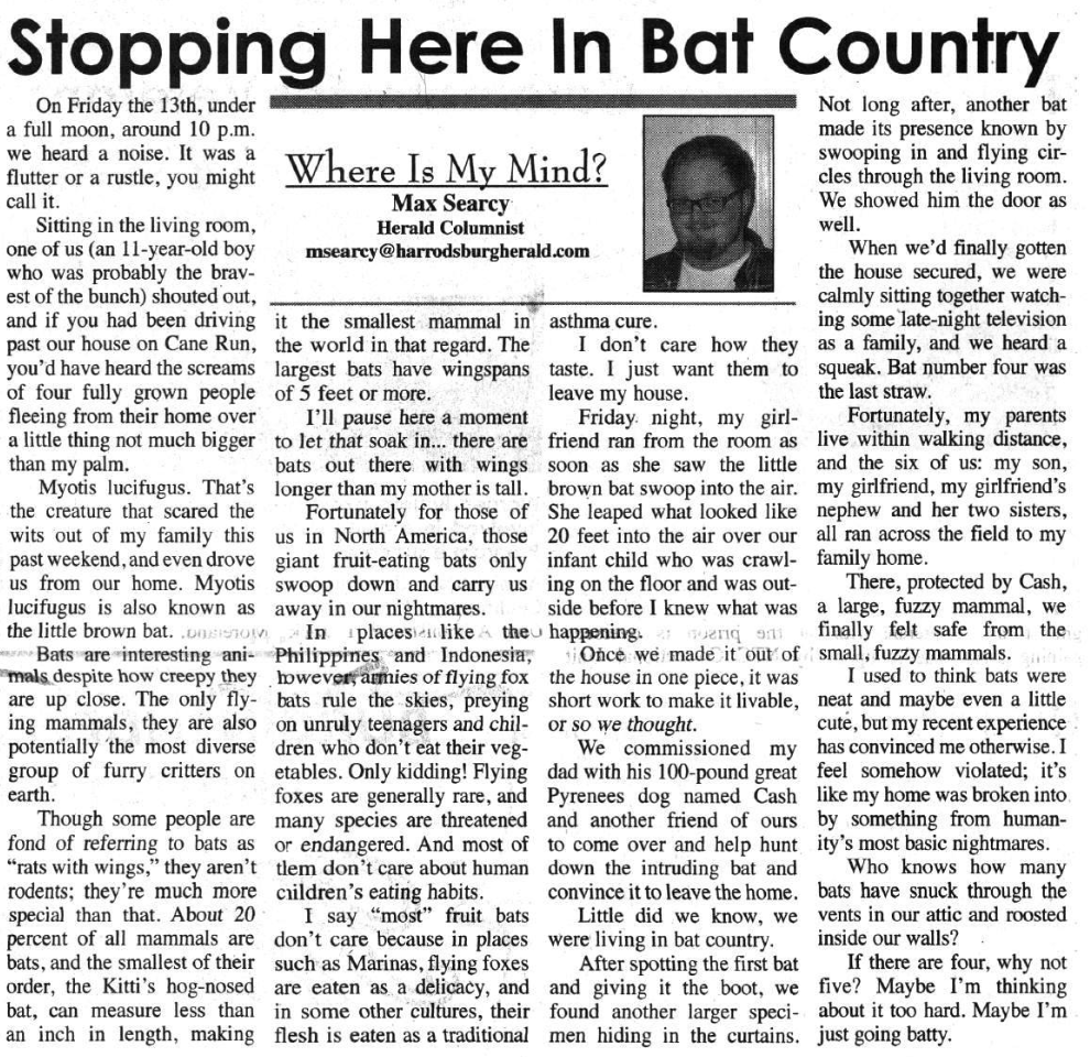 'Where Is My Mind?' column — bats